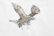 Aigle_01