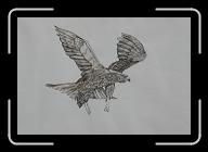 Aigle_01 * 2913 x 1978 * (2.93MB)