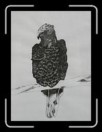 Aigle_02 * 1888 x 2574 * (2.7MB)
