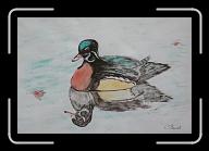 Canard_01 * 2953 x 1992 * (2.95MB)