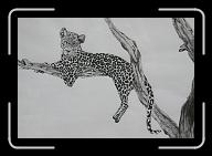 Leopard_01 * 2805 x 1918 * (2.96MB)