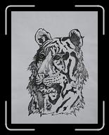 Tigre_01 * 1930 x 2502 * (2.82MB)