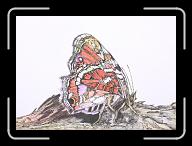 New_Papillon_oct._001 * 3558 x 2538 * (4.61MB)